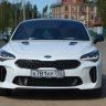 STINGER